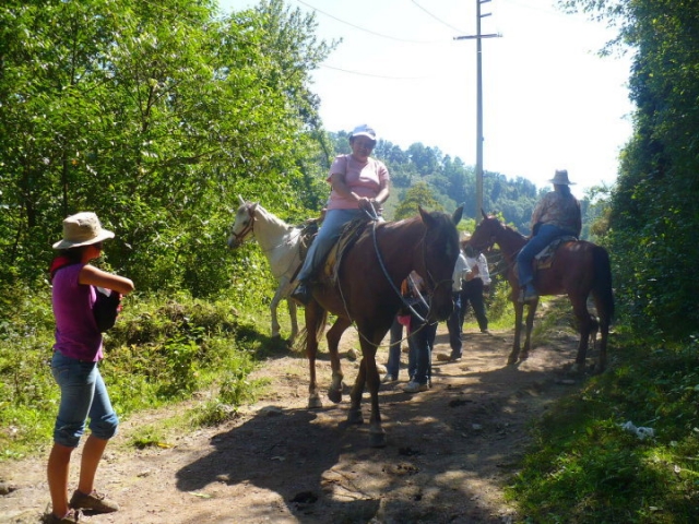 Paseos a caballo.jpg